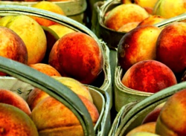 Κάνε τα σκληρά ροδάκινα μαλακά με ένα πολύ απλό trick!