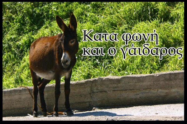 Από που βγήκε η φράση “Κατά φωνή και ο γάιδαρος”;