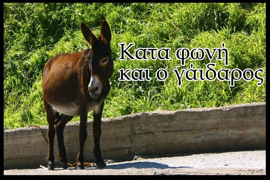 Από που βγήκε η φράση “Κατά φωνή και ο γάιδαρος”;