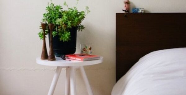 Με αυτά τα φυτά στο δωμάτιο θα κοιμηθείτε σαν… πουλάκια