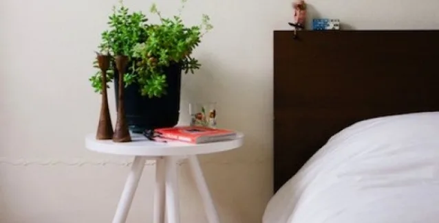 Με αυτά τα φυτά στο δωμάτιο θα κοιμηθείτε σαν… πουλάκια