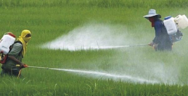 Δείτε τις τροφές με τα περισσότερα φυτοφάρμακα