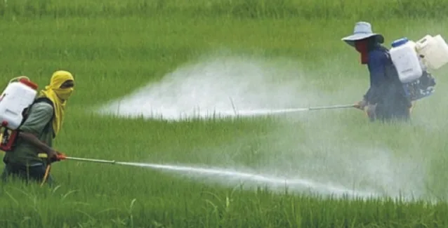 Δείτε τις τροφές με τα περισσότερα φυτοφάρμακα