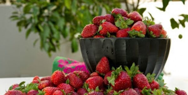 Φράουλες: Οι ευεργετικές ιδιότητες των πράσινων φύλλων τους