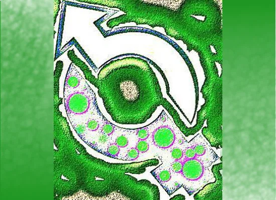 Τα Φύλ(λ)α του Περιβάλλοντος, Πανελλήνιος Μαθητικός Διαγωνισμός Ψηφιακής Δημιουργίας