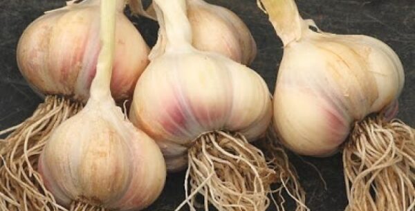 Εκπληκτικό: Η Πυθαγόρεια Διατροφή εξαφανίζει το 95% των ασθενειών!