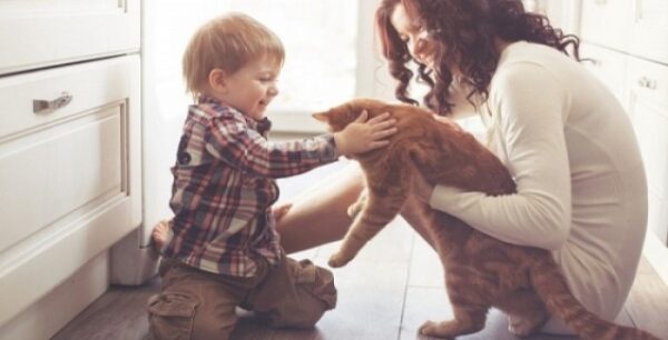 Το παράσιτο που μεταδίδει η γάτα. Τι προκαλεί – Πώς επιδρά στον εγκέφαλο