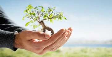 ΕΕΤΑΑ Παιδικοί σταθμοί ΕΣΠΑ Αιτήσεις μέχρι 29/7/2016