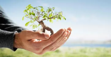 Πρόγραμμα Παιδικών Σταθμών ΕΣΠΑ. Υποβολή αιτήσεων για δωρεάν φιλοξενία παιδιών: 25/07/2013 έως 2/08/2013