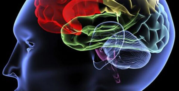 Επιστήμονες ανακάλυψαν το “κέντρο της γενναιοδωρίας” στον εγκέφαλο