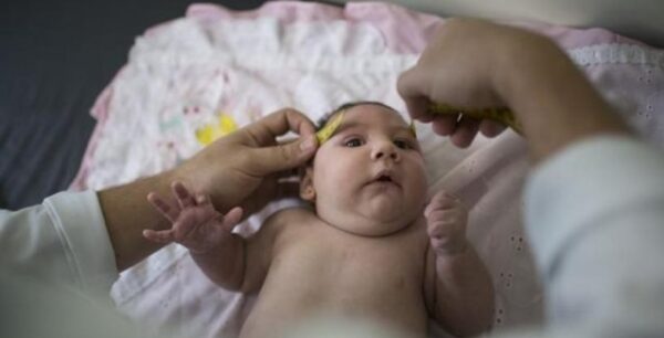 Πρόστιμα την Ελβετική κυβέρνηση για τις δεξαμενές με στάσιμο νερό ως μέτρο για τον ιό Ζίκααπό