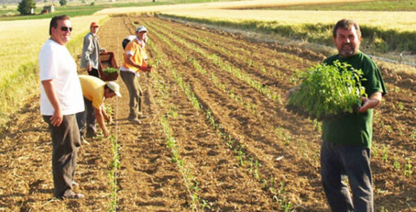 Αυτή είναι η εγκύκλιος με τις εισφορές-φαρμάκι για 650.000 ασφαλισμένους του ΟΓΑ