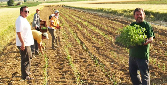 Αυτή είναι η εγκύκλιος με τις εισφορές-φαρμάκι για 650.000 ασφαλισμένους του ΟΓΑ