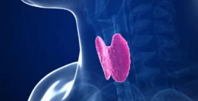 Δημιούργησαν στο εργαστήριο νέα κύτταρα θυρεοειδούς