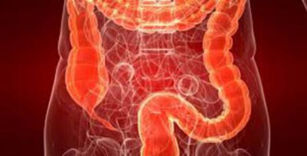 Δημιούργησαν για πρώτη φορά στο εργαστήριο μίνι-έντερα ανθρώπου με νεύρα