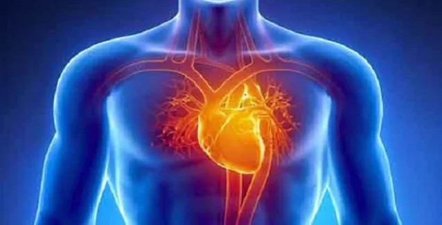 Καρδιά: 4 λιπαρά που πρέπει να τρώτε και 6 που πρέπει να κόψετε