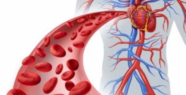 Δείτε τι μειώνει την εμφάνιση του καρκίνου