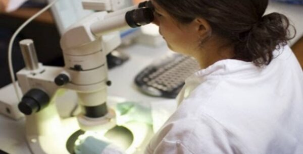 Δείτε τι σκοτώνει τα καρκινικά κύτταρα και εμποδίζει τον πολλαπλασιασμό τους!