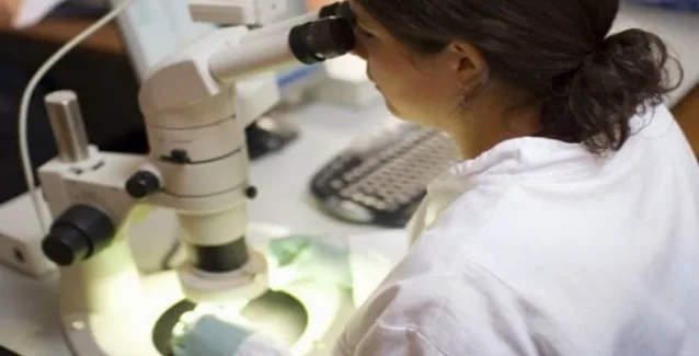 Δείτε τι σκοτώνει τα καρκινικά κύτταρα και εμποδίζει τον πολλαπλασιασμό τους!