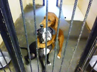 Αυτή η φωτογραφία τούς έσωσε τη ζωή!