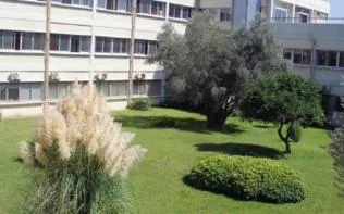 Κοινή δήλωση Προέδρων ΤΕΙ: Δεν είναι δυνατό να διανοηθούμε την Ευρώπη και το κοινό ευρωπαϊκό νόμισμα, που φέρει ελληνικό όνομα, χωρίς να μετέχει σε αυτό η χώρα μας