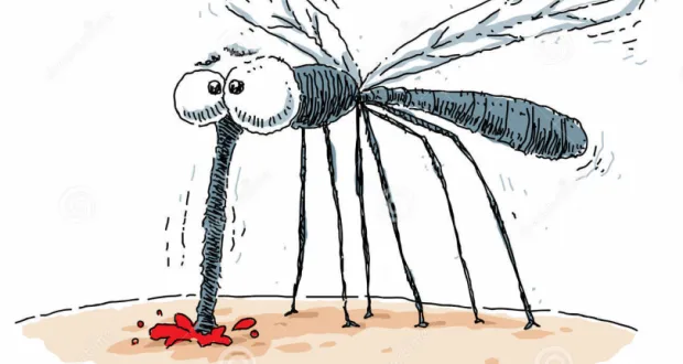 12 φυσικοί τρόποι για να μην σας ξαναενοχλήσουν τα κουνούπια!