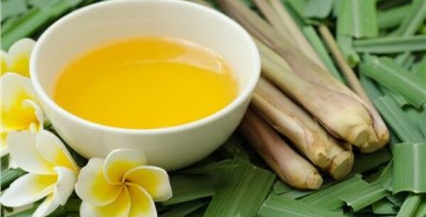 Κουνούπια Τέλος – 10 βήματα