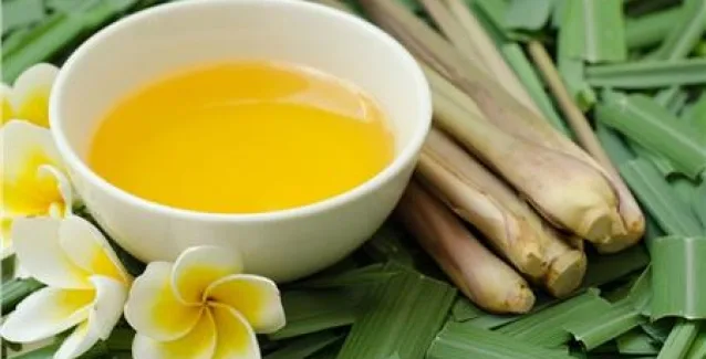 Κουνούπια Τέλος – 10 βήματα