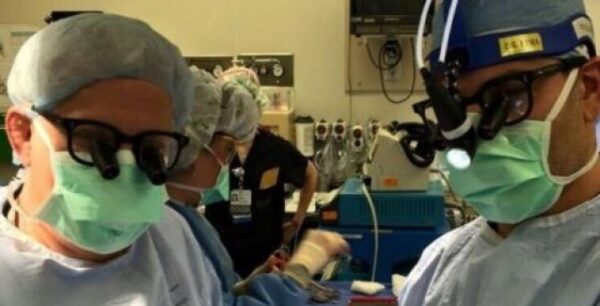 Θέμης Χαμογεωργάκης:Ο Έλληνας γιατρός από την Κρήτη που δημιούργησε την πρώτη τεχνητή καρδιά!