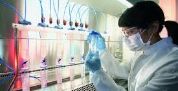 Κυτταρική μνήμη: γιατί το σώμα μας δεν ξεχνά