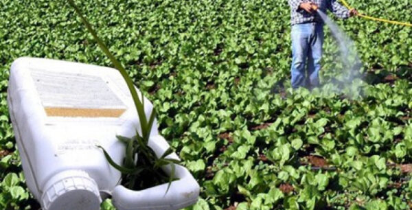 Τα φυτοφάρμακα στο πιάτο μας!