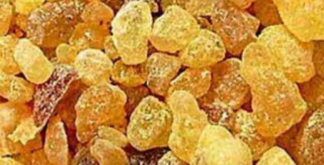 Σπουδαία ανακάλυψη: Το λιβάνι καταστρέφει τα καρκινικά κύτταρα