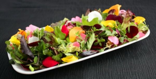 Λουλούδια ωφέλιμα για τον οργανισμό σας