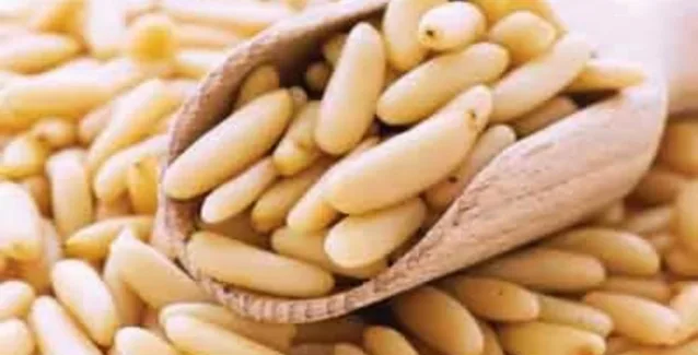 Το κουκουνάρι, ο ξηρός καρπός των εορτών και όχι μόνο