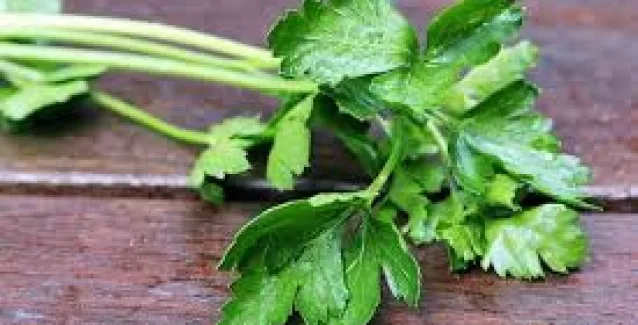 Τα οφέλη του μαϊντανού που μέχρι τώρα δεν γνώριζες!