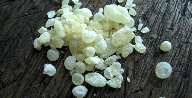 Η ευεργετική χρήση της μαστίχας