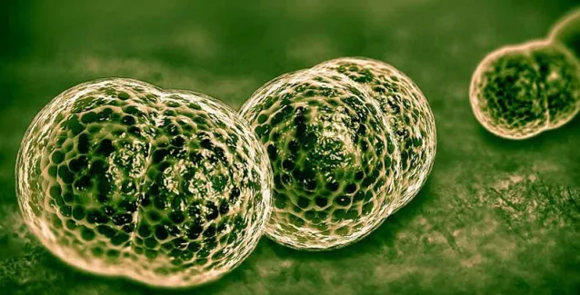 Μηνιγγίτιδα: 5 συμπτώματα που όλοι πρέπει να γνωρίζουμε