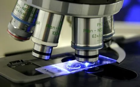 Υποτροφίες για διδακτορικό στην Ελλάδα από το ΕΛΙΔΕΚ