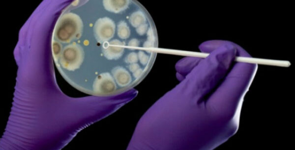 Nέο πειραματικό φάρμακο θεραπεύει τρεις παρασιτικές ασθένειες