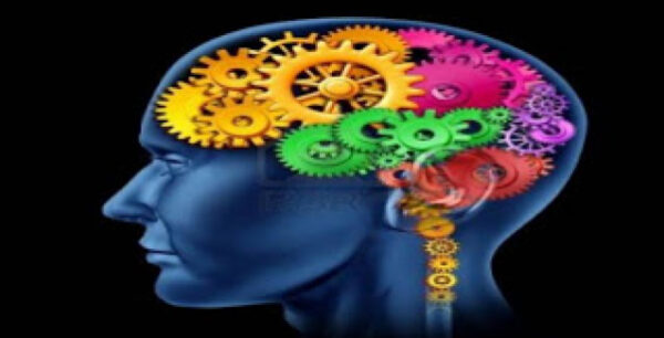 Μνήμη ελέφαντα με τη διατροφή