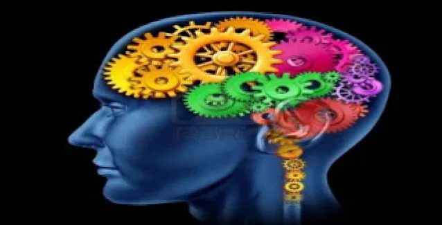 Μνήμη ελέφαντα με τη διατροφή