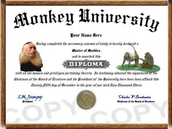 Βιομηχανία πτυχίων μαϊμού .. δείτε πως πιάστηκαν !