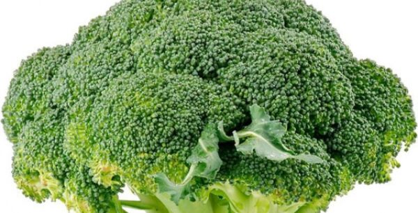 Μπρόκολο και για γερούς πνεύμονες