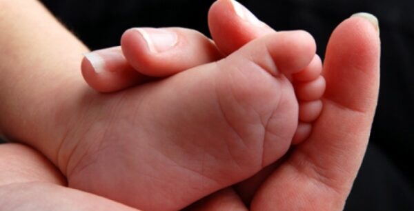 Ποιες τροφές αυξάνουν τη γονιμότητα