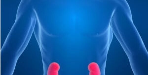 Νεφρική ανεπάρκεια: Η τροφή που αυξάνει κατά 40% τον κίνδυνο