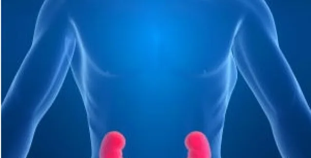 Νεφρική ανεπάρκεια: Η τροφή που αυξάνει κατά 40% τον κίνδυνο