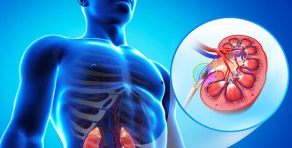 Εξαλείψτε τα δηλητήρια από τον οργανισμό σας μέσα σε 24 ώρες