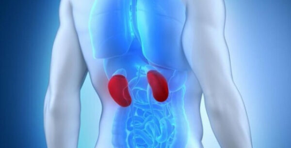 Η ισορροπημένη διατροφή προλαμβάνει την εμφάνιση της Χρόνιας Νεφρικής Νόσου