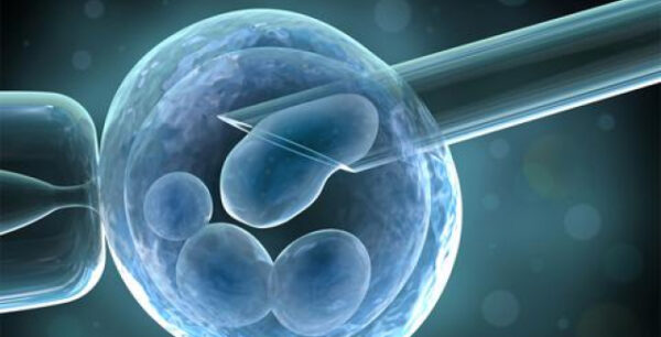 Online σύστημα υπολογίζει τις πιθανότητες μιας γυναίκας να κάνει παιδί με εξωσωματική