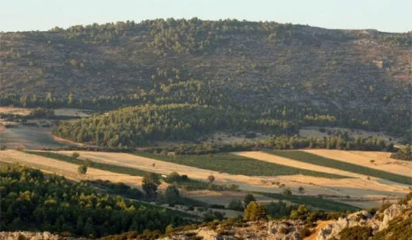 Μειωμένο ΕΝΦΙΑ αγροτεμαχίων εξετάζει το ΥΠΟΙΚ